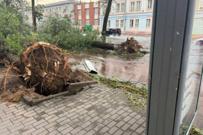 Штормовое лето: по регионам Беларуси вновь прошла непогода