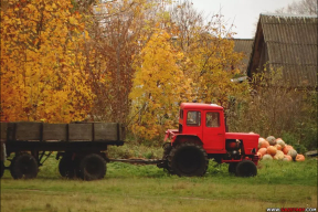 Чалый: «Представляю себе эту «игру в бутылочку»: на кого покажет палец прокурора случайным образом — тех и садим в тюрьму»